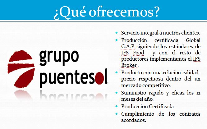 Grupo Puentesol >  > Empresa