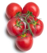 Verduras y hortalizas